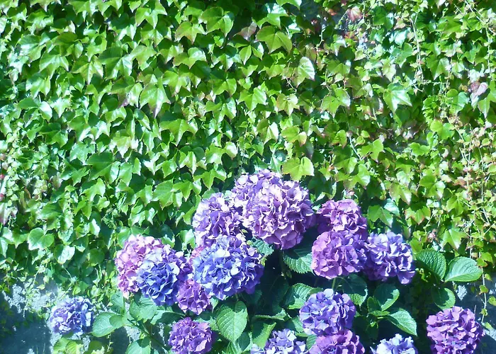 Verdemar Ribadesella